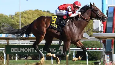 Siete potros van por $250.000 y 10 puntos al Kentucky Derby en el Remsen S. (G2) Siete potros van por $250.000 y 10 puntos al Kentucky Derby en el Remsen S. (G2)