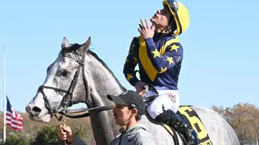 Junior Alvarado con gran opción en tres stakes de Grado esta semana Junior Alvarado con gran opción en tres stakes de Grado esta semana