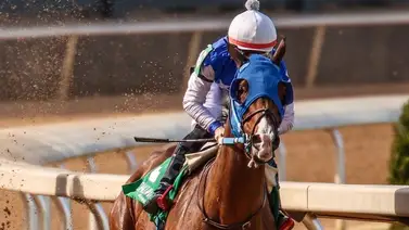 Conozca la fecha y hora exacta en la que arranca el meeting de Oaklawn Park en Arizona Conozca la fecha y hora exacta en la que arranca el meeting de Oaklawn Park en Arizona