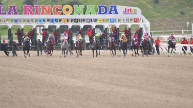 Serie Hípica del Caribe con 11 selectivas en la reunión 47 en La Rinconada