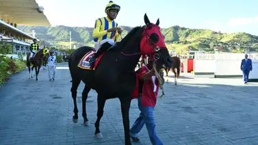 El De Froix por la gloria en la Copa Confraternidad del Caribe en homenaje a Don Cesar Cachazo El De Froix por la gloria en la Copa Confraternidad del Caribe en homenaje a Don Cesar Cachazo