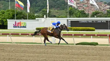 Bella Del Nilo a derrochar su clase en el Clásico Comparación (GI) Bella Del Nilo a derrochar su clase en el Clásico Comparación (GI)
