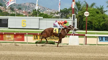 Potro Snujake por su primera selectiva de grado en La Rinconada