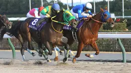 Ganador clásico y campeón japonés gana el Champions Cup y se retira a la cría