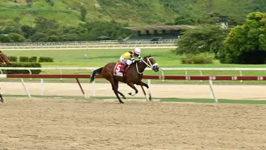 Daniela Runner buscará mantener supremacía en la Copa “Confraternidad del Caribe” Daniela Runner buscará mantener supremacía en la Copa “Confraternidad del Caribe”