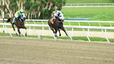 Kleobule a mantener el invicto en el Clásico Senegal GII en la Serie Hípica Kleobule a mantener el invicto en el Clásico Senegal GII en la Serie Hípica