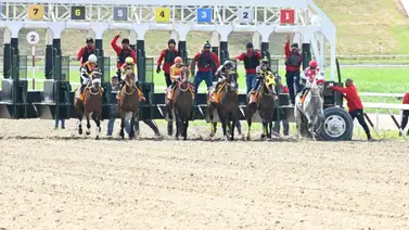 11 yeguas van por la Copa Tribunal Supremo de Justicia el domingo en La Rinconada 11 yeguas van por la Copa Tribunal Supremo de Justicia el domingo en La Rinconada