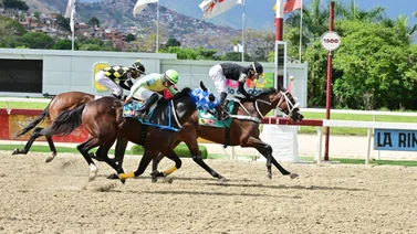 12 caballos de tres años conforman la nómina de la Copa “Policía Nacional Bolivariana”