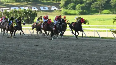 Clásico Internacional del Caribe GI en honor a Javier Castellano Clásico Internacional del Caribe GI en honor a Javier Castellano