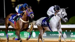 Richard Bracho y su sobrino Christopher Elliott montarán stakes de Grado I para caballos árabes