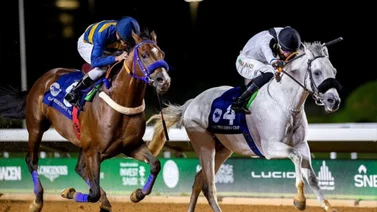 Richard Bracho y su sobrino Christopher Elliott montarán stakes de Grado I para caballos árabes