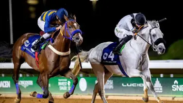 Richard Bracho y su sobrino Christopher Elliott montarán stakes de Grado I para caballos árabes Richard Bracho y su sobrino Christopher Elliott montarán stakes de Grado I para caballos árabes