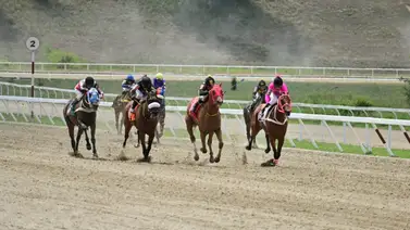 Conoce la yegua que una vez más es dato corrido, y para esta ocasión reaparece luego de 217 días sin correr Conoce la yegua que una vez más es dato corrido, y para esta ocasión reaparece luego de 217 días sin correr