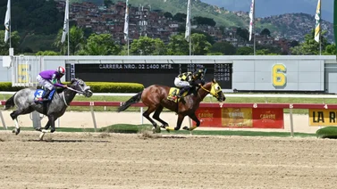 Caballo que en su última carrera fue puesto bajo averiguación regresa al óvalo de La Rinconada tras 42 días sin correr