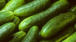 EEUU | Retiro de pepinos por riesgo de Salmonela afecta varios estados (+Detalles)