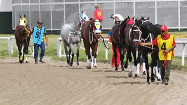 Conoce el primer retirado de la Serie Hípica del Caribe a disputarse en La Rinconada Conoce el primer retirado de la Serie Hípica del Caribe a disputarse en La Rinconada