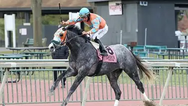 Jinete ganador de más de 3.000 carreras en Estados Unidos es suspendido de manera provisional Jinete ganador de más de 3.000 carreras en Estados Unidos es suspendido de manera provisional