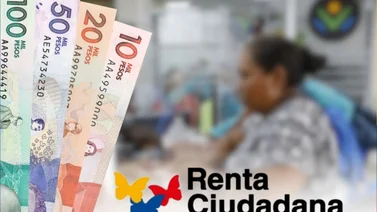 Renta ciudadana Colombia