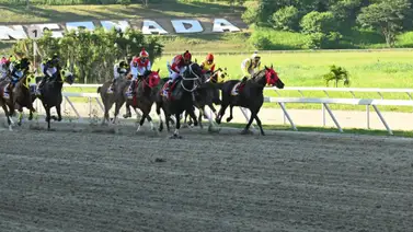 Jockey internacional pone rumbo a La Rinconada para la Serie Hípica del Caribe Jockey internacional pone rumbo a La Rinconada para la Serie Hípica del Caribe