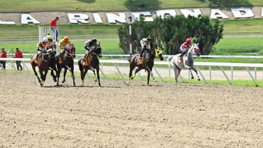 Con este ajuste está yegua puede sorprender a una de las fijas de un 5y6 selectivo en La Rinconada Con este ajuste está yegua puede sorprender a una de las fijas de un 5y6 selectivo en La Rinconada