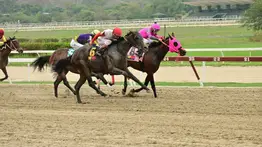 Con el ajuste excelente de esta yegua se convertiría en la gran sorpresa de la Copa Confraternidad del Caribe 