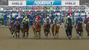 Suspendida la jornada de carreras de este jueves en Aqueduct por está razón Suspendida la jornada de carreras de este jueves en Aqueduct por está razón