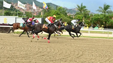 Este caballo tronó en su ajuste para hacer suya la Copa Confraternidad del Caribe en homenaje a Cesar Cachazo
