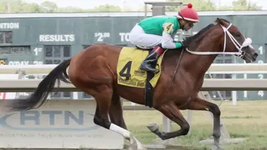 Mychel Sánchez con otro Hat Trick y llega a esta cantidad de victorias en el 2024 Mychel Sánchez con otro Hat Trick y llega a esta cantidad de victorias en el 2024