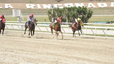 Como ajustó este ejemplar puede ser el "Tumba Torre" del 5y6 dominical Como ajustó este ejemplar puede ser el "Tumba Torre" del 5y6 dominical