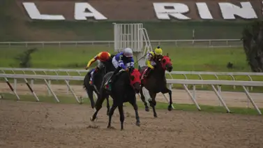 El ajuste contenido de este ejemplar lo coloca como el gran batacazo de cierre de la Serie Hípica del Caribe El ajuste contenido de este ejemplar lo coloca como el gran batacazo de cierre de la Serie Hípica del Caribe