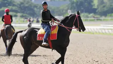 Techno Music está listo para dar un gran espectáculo en La Rinconada Techno Music está listo para dar un gran espectáculo en La Rinconada