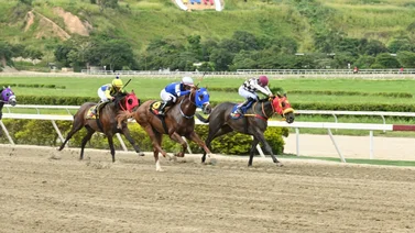 Gran favorita que falló en su última carrera está lista para ganar este domingo 
