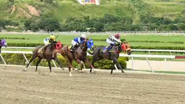 Gran favorita que falló en su última carrera está lista para ganar este domingo Gran favorita que falló en su última carrera está lista para ganar este domingo