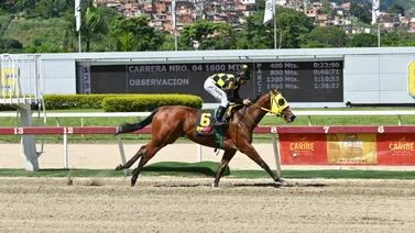 Entérate del ajuste de esta yegua que puede ser el dato de “los vivitos” en la Copa Dama del Caribe