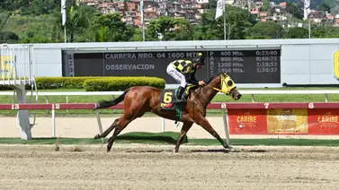 Entérate del ajuste de esta yegua que puede ser el dato de “los vivitos” en la Copa Dama del Caribe Entérate del ajuste de esta yegua que puede ser el dato de “los vivitos” en la Copa Dama del Caribe