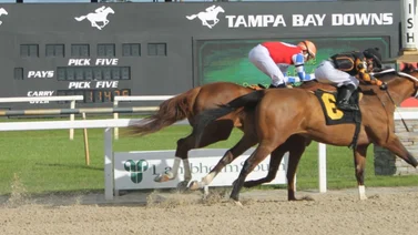 Samuel Marín es el primer criollo en ganar este viernes en Tampa Bay