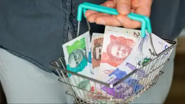 Programa Colombia sin Hambre Programa Colombia sin Hambre