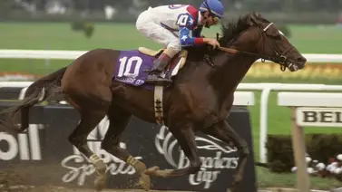 Llegó el día de la Cigar Mile H.(G2) en New York y aquí los pronósticos Llegó el día de la Cigar Mile H.(G2) en New York y aquí los pronósticos