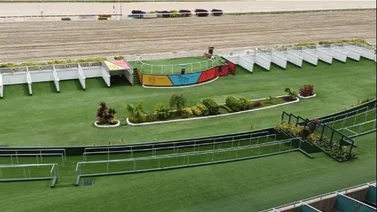 Favoritos de la cátedra para el 5y6 Nacional de la reunión N°47 en el hipódromo La Rinconada