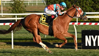 Jockey norteamericano con casi 1.500 triunfos estará en la Serie Hípica del Caribe 2024