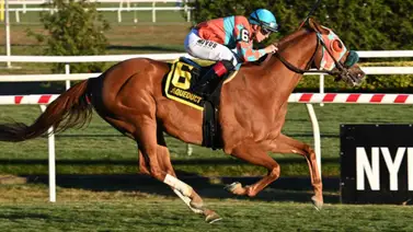 Jockey norteamericano con casi 1.500 triunfos estará en la Serie Hípica del Caribe 2024 Jockey norteamericano con casi 1.500 triunfos estará en la Serie Hípica del Caribe 2024