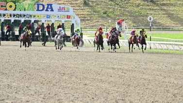 Datos de Última Hora para el Hipódromo La Rinconada 8-12-2024