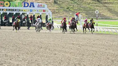 Datos de Última Hora para el Hipódromo La Rinconada 8-12-2024 Datos de Última Hora para el Hipódromo La Rinconada 8-12-2024