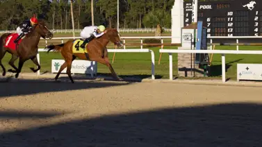 Samuel Marín comanda jornada en Tampa Bay con Hat Trick y el Stakes más importante del sábado Samuel Marín comanda jornada en Tampa Bay con Hat Trick y el Stakes más importante del sábado