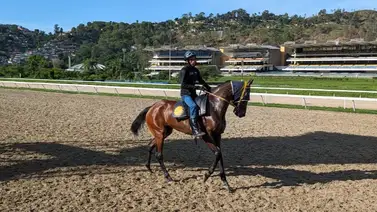 Estos son los retirados oficiales de la Reunión N°47 en La Rinconada 08-12-2024 Estos son los retirados oficiales de la Reunión N°47 en La Rinconada 08-12-2024