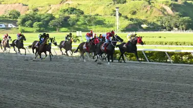 Ingresa aquí para ver la reunión 47 de La Serie Hípica del Caribe en La Rinconada por Meridiano Televisión Ingresa aquí para ver la reunión 47 de La Serie Hípica del Caribe en La Rinconada por Meridiano Televisión