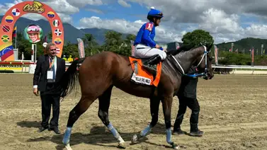 Bella del Nilo fue "la macha" en el Clásico Comparación Bella del Nilo fue "la macha" en el Clásico Comparación