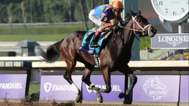 Fierceness no estará en la Pegasuss World Cup Fierceness no estará en la Pegasuss World Cup