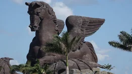 Todo listo para la Pegasus World Cup G1 2025