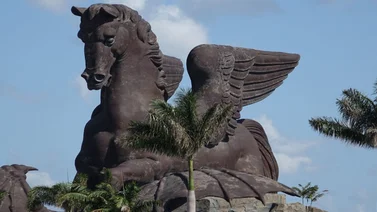 Todo listo para la Pegasus World Cup G1 2025
